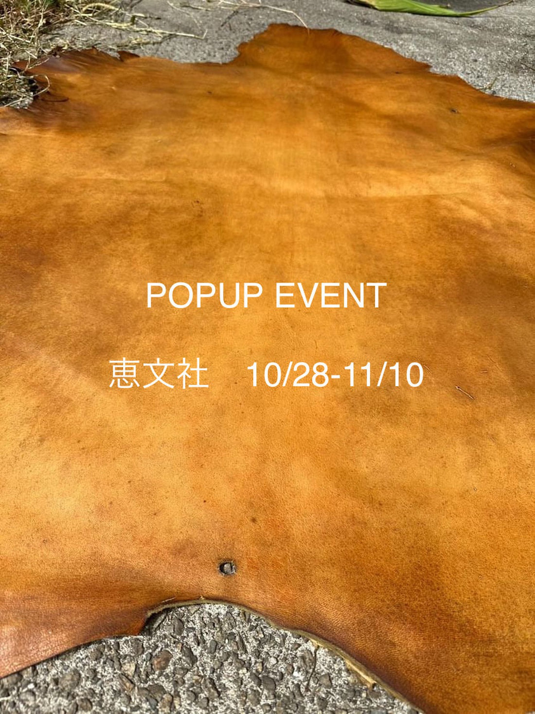 POPUP at 恵文社一乗寺店 10/28-11/10