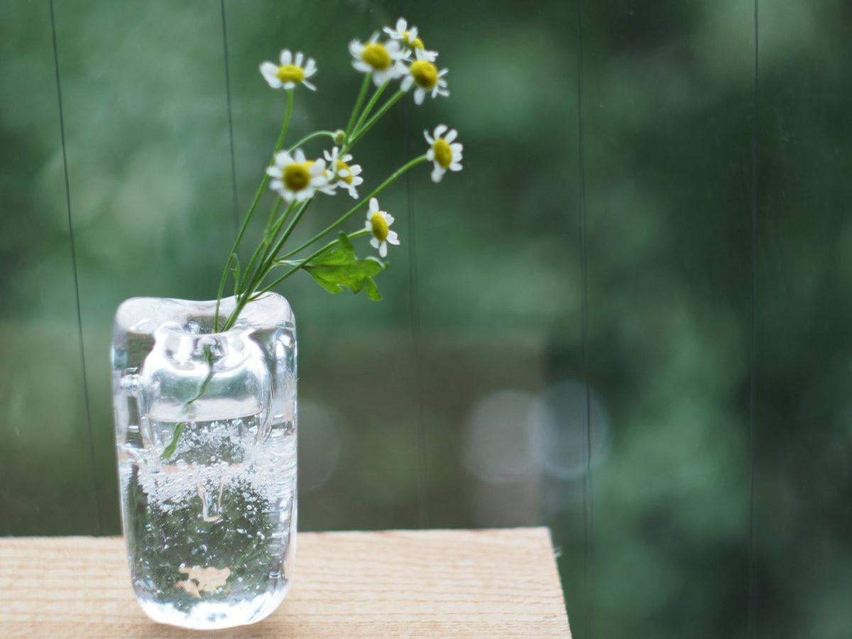 Flower Vase / Vase