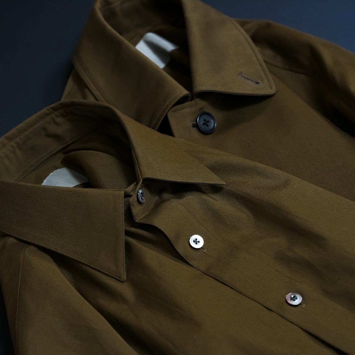 SACCINUM / Schefflera / Deep roast brown / 2size